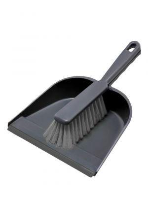 Brush and dustpan