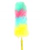HYGYEN Plumeau regenboog met telescoopsteel 115cm 24st